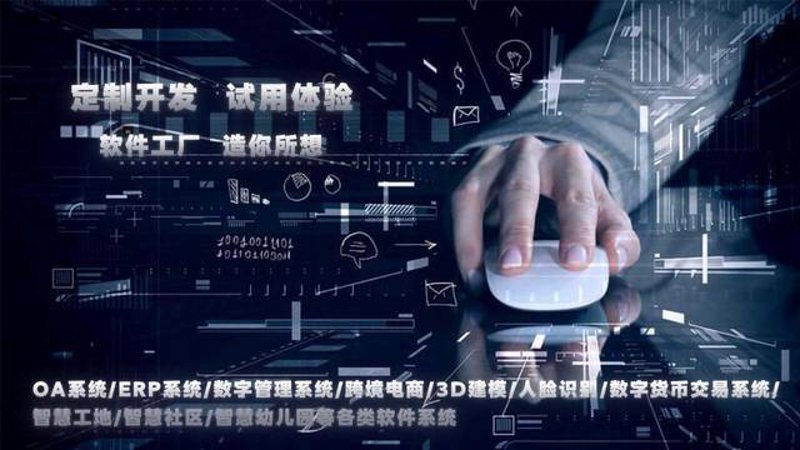 重庆软件定制开发